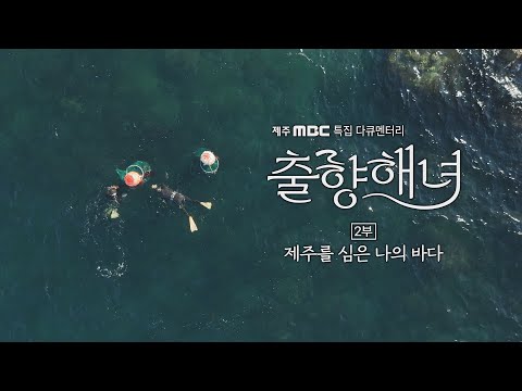 특집 다큐멘터리 출향해녀 2부: 제주를 심은 나의 바다