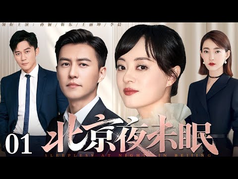 【好看的电视剧】北京夜未眠 01 | 靳东、孙俪演绎北京男女的爱恨纠葛(靳东 / 孙俪 / 李晨 / 王丽坤)