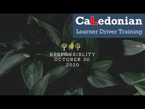 How To Get Learner Drivers To Take Responsibility For Their Learning - Top Tips For ADIs