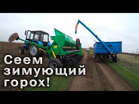 Выехали сеять зимующий горох! МТЗ-892 NIKA-4.