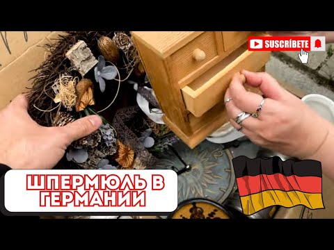 Шпермюль в Германии/Что выбрасывают немцы/Интересные находки в мусоре