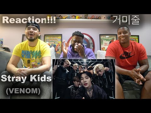 STRAY KIDS MUSIC VIDEO GROUP REACTION | VENOM 거미줄