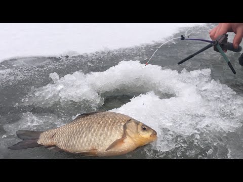 Так багато ще не ловили