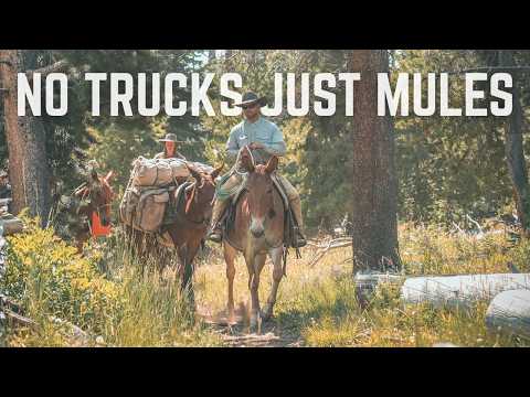 No Trucks Needed! Moving a Sheep Camp The Old Fashioned Way