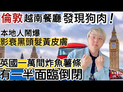 倫敦越南餐廳「發現賣狗肉」‼️西方人震驚「食野味背脊向天」❗️英國經濟暗湧❗️一萬間炸魚薯條店🔥有一半「面臨倒閉」‼️中式外賣最受歡迎❓