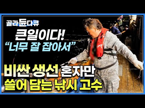 낚는 게 아니라 그냥 생선을 줍네요! 옆에서 아무도 못 잡는데 혼자서만 비싼 갈치 쓸어 담는 '갈치잡이 은둔 고수'│여수 은갈치잡이│바닷가 사람들│#골라듄다큐