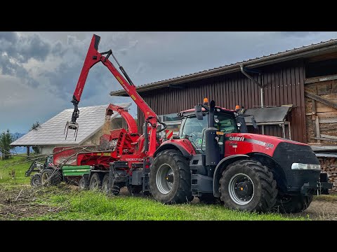 Заготовка ЩЕПИ на ПРОДАЖ, ЦІНА за 1м³, УКРАЇНЕЦЬ на Фермі в Швейцарії