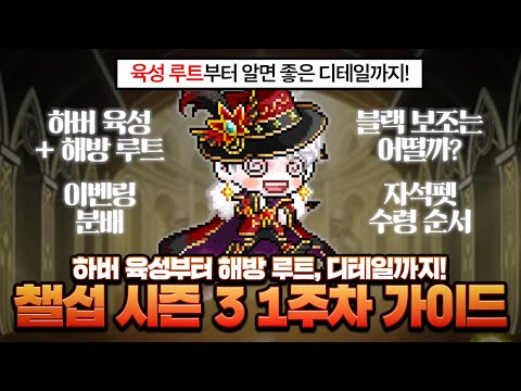 하버 육성 루트부터 해방 루트까지, 챌섭 시즌 3 1주차 성장 가이드【메이플】