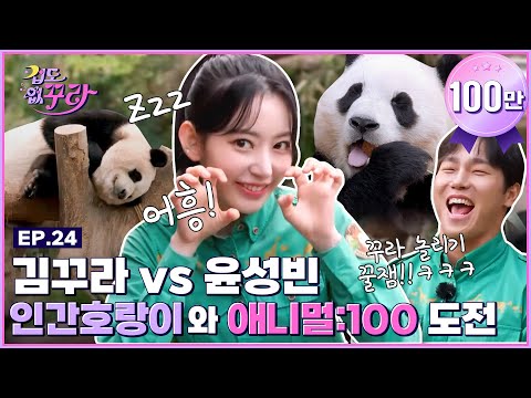 Sakura X Yun Sung Bin! Animal: 100 Challenge with Fu Bao, Tiger and T Express!