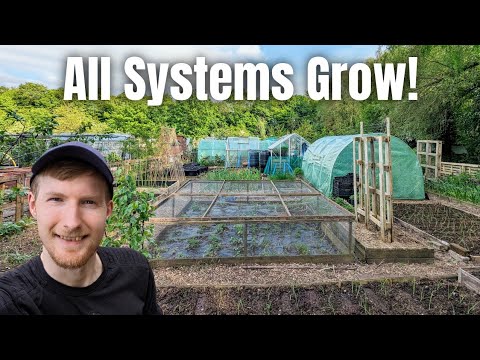 May Allotment Vlog: EVERYTHING Is Springing To Life! | Gardening For Beginners