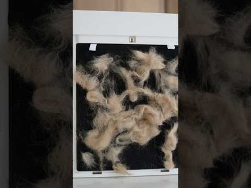 This Is Going To Be Your Best Friend In Your Home During Spring Allergy Season #oneisall