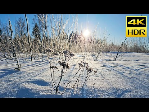 Frosty Winter (HDR10+) 4K Ultra HD Sample Footage HDR 10