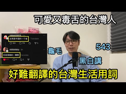 【移民台灣】中網友想聽聽台人「對於回歸中國的擔憂」/集可愛與毒舌於一身的台灣人/有趣的台灣生活用字 (字幕)