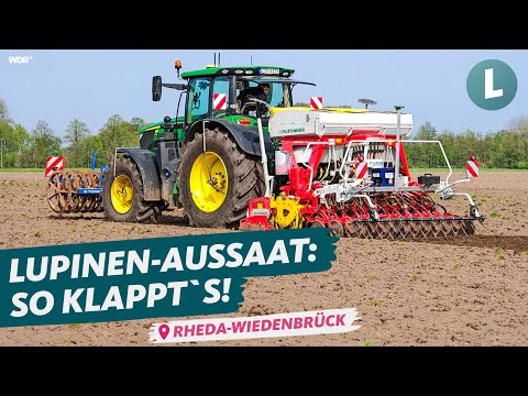 Aussaat weiße Lupinen bei @Hof Vogelsang | WDR Lokalzeit Land.Schafft.