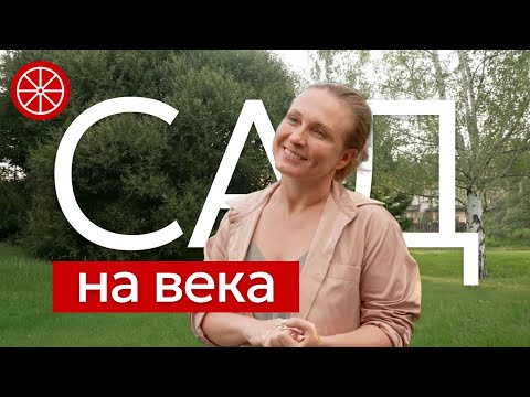 Как создать сад на века? Секреты устойчивых садов #озеленение