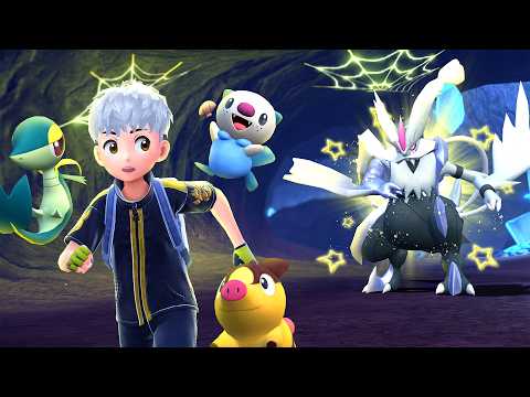 I Caught Every Shiny Unova Pokemon