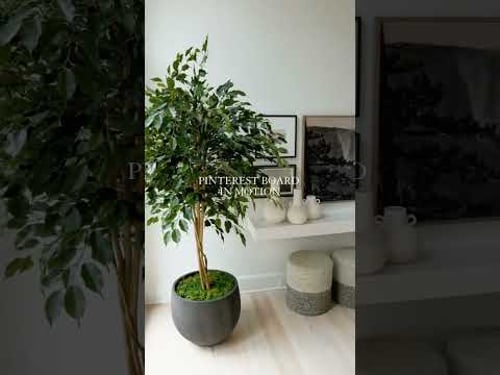 Organic Modern Cozy Living Room Library Beams #home #homerenovation #interiordesign #inspohome