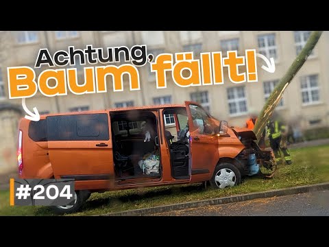 Landed in a tree, kissed the guardrail in the snow, and then fled! | #GERMAN #DASHCAM | #204