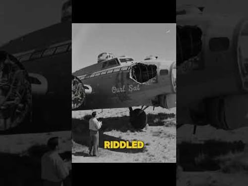 The Bullet-Riddled Bomber That Made It Home #aviationhistory #history #aviation #ww2