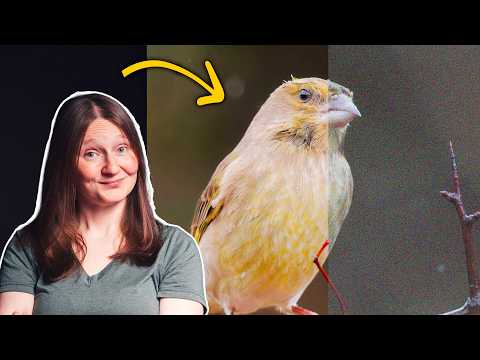 I stopped caring about ISO after this