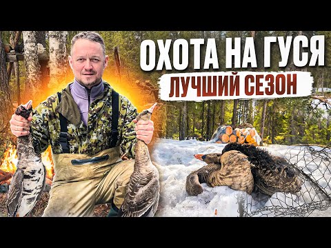 ОХОТА НА ГУСЯ // ШИКАРНЫЕ 5 ДНЕЙ НА ОЗЕРЕ // МОЯ ЛУЧШАЯ ОХОТА