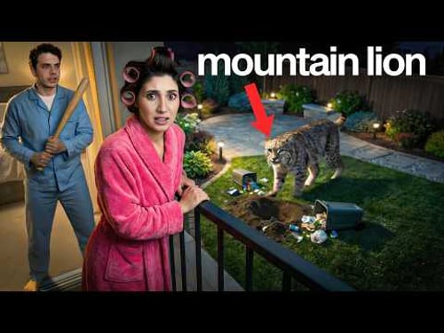 We Found a Real Mountain Lion in our New House!