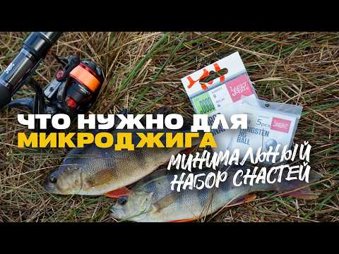 Микроджиг Минимальный Набор Снастей с Чего Начинать и Что Нужно