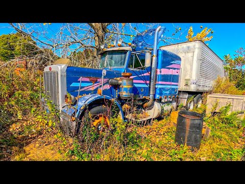 1981 Peterbilt 359 RESCUED from its GRAVE - WILL IT RUN??