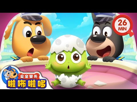 【新劇集】追逐蛋寶寶 | 神奇的烏龜蛋 | 寶寶好習慣 | 動畫 | 卡通 | 安全警長啦咘啦哆