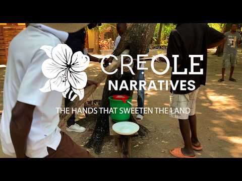 CREOLE NARRATIVES : "THE HANDS THAT SWEETEN THE LAND" HAITI SUGAR CANE