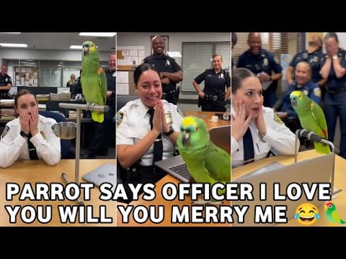 ๐ฆParrot Roasts the Officer with the Funniest Bedtime Joke Ever๐คฃ | Funny Conversation With Parrot