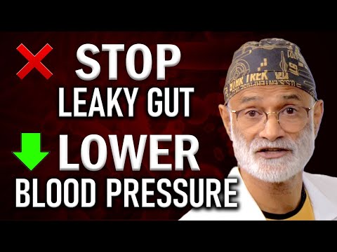 How Gut Bacteria Diversity Improves Health