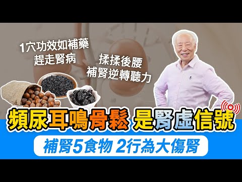 夜尿多增死亡風險!5物+2莓果,補腎固精,改善膀胱。耳鳴怎麼辦?常揉後腰刺激2穴。骨鬆比罹癌更致命,3招防骨鬆。預防腎病!按1穴功效如六味地黃丸。2件事別做,腎氣消耗快|胡乃文開講Dr.HU_261