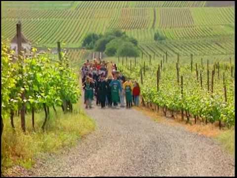 Discover the Art of Making Wine