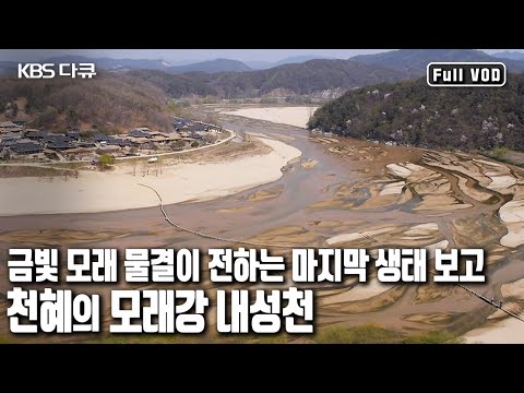인간의 이기심에 본래 모습을 잃어가는 내성천의 마지막 생태보고! '마지막 모래물길 내성천' (KBS 20141016 방송)