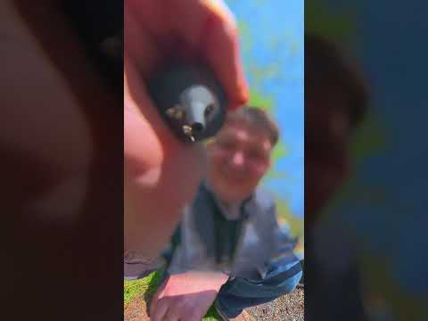 Just added a new camera to our film kit! Info coming tomorrow