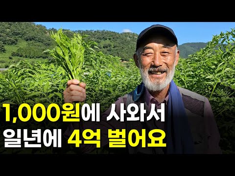 1,000원에 사와서 일년에 4억 버는 60대 | 인간극장 | 다큐멘터리 | 휴먼스토리 | 직업의모든것 | 둥지농원 | 여름두릅 | 땅두릅 | 카멜레온두릅