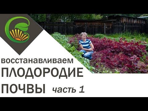 Как я сделала почву плодородной, 1 часть.