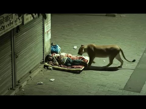 Ça A Vraiment Été Filmé Par une Caméra