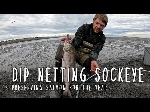 Alaska Dip Netting - Sockeye Salmon Catch, Cook, and Preserve