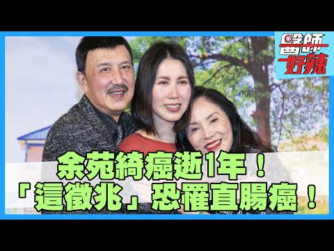 余苑綺癌逝1年!反覆血便恐是直腸癌徵兆!【#醫師好辣】陳保仁 洪永祥 蔡逸姍 主題特映版