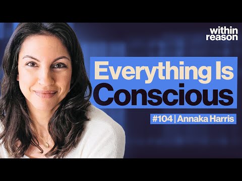 Is Consciousness Fundamental? - Annaka Harris