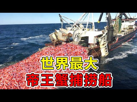 美国“最庞大”的捕蟹船,一次可捕捞300吨帝王蟹,出海5天狂赚100万美刀#世界之最 #超级工程 #核潜艇 #航母 #大国重器 #科普 #top #脑洞大开 #超级工厂 #捕蟹船