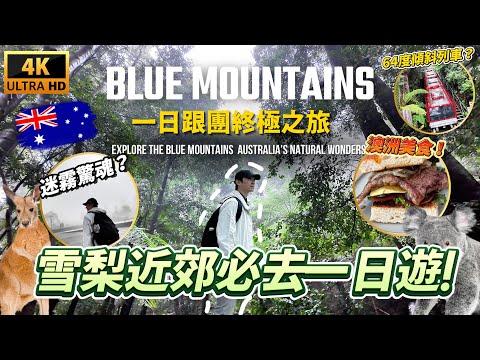 🇦🇺 雪梨藍山一日遊全記錄 原來雪梨郊區還有這麼美的風景!|澳洲旅遊 KKday 終極藍山一日遊 Ep.4