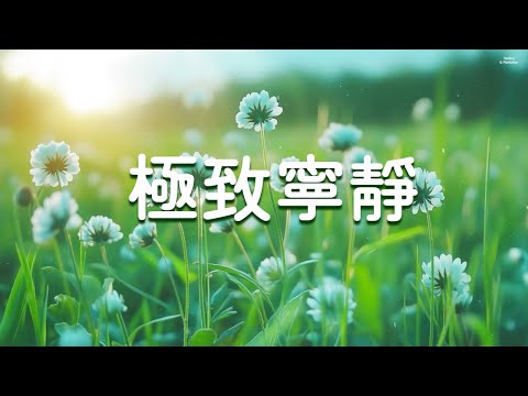 【極致寧靜】那些直擊心靈的氛圍純音樂 | 有效緩解抑鬱和恐慌 | 學習 放鬆 助眠 冥想 工作 治愈
