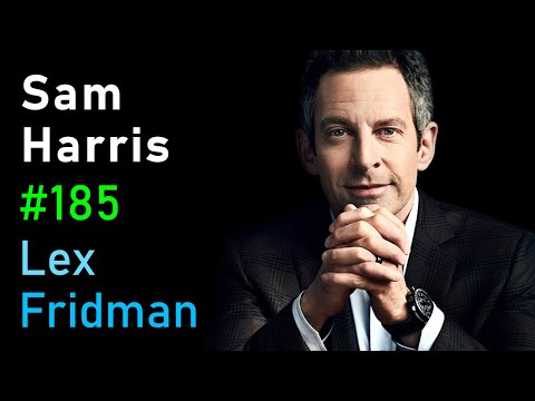 Sam Harris: Consciousness, Free Will, Psychedelics, AI, UFOs, and Meaning | Lex Fridman Podcast #185