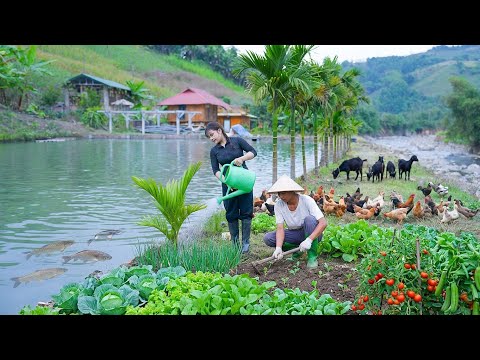 Off-Grid Farming: Greening My Fish Pond & Garden Naturally