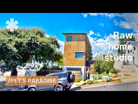 Tiny lot, grand comfort: Skinny home + 2 yards as designer's live-work oasis