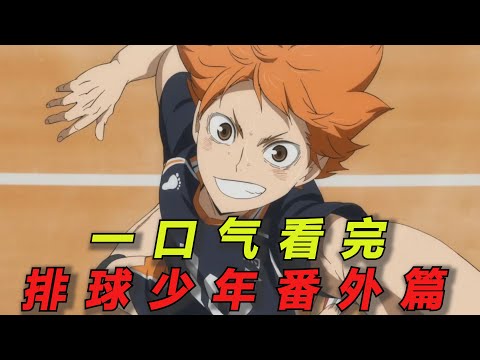 一口气看完《排球少年》番外篇合集!主角团长大后激情对战!全程高能