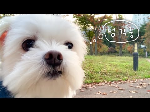 난 요즘 생각이 많다